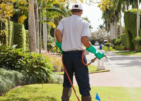 About Concordia MO Pest Control